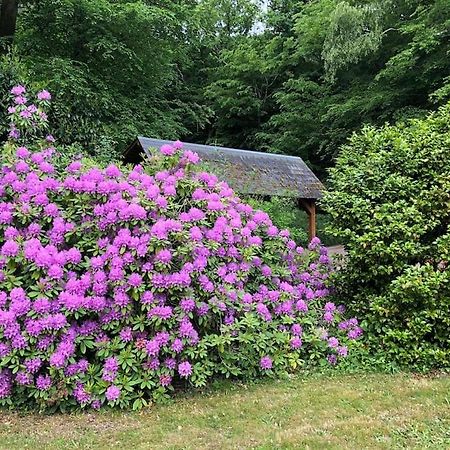 "La Homerie" Chaumiere En Pleine Nature Savigny-en-Sancerre Buitenkant foto