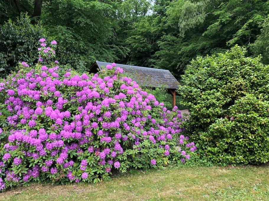 "La Homerie" Chaumiere En Pleine Nature Savigny-en-Sancerre Buitenkant foto
