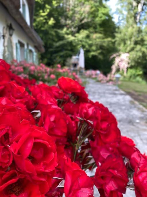 "La Homerie" Chaumiere En Pleine Nature Savigny-en-Sancerre Buitenkant foto